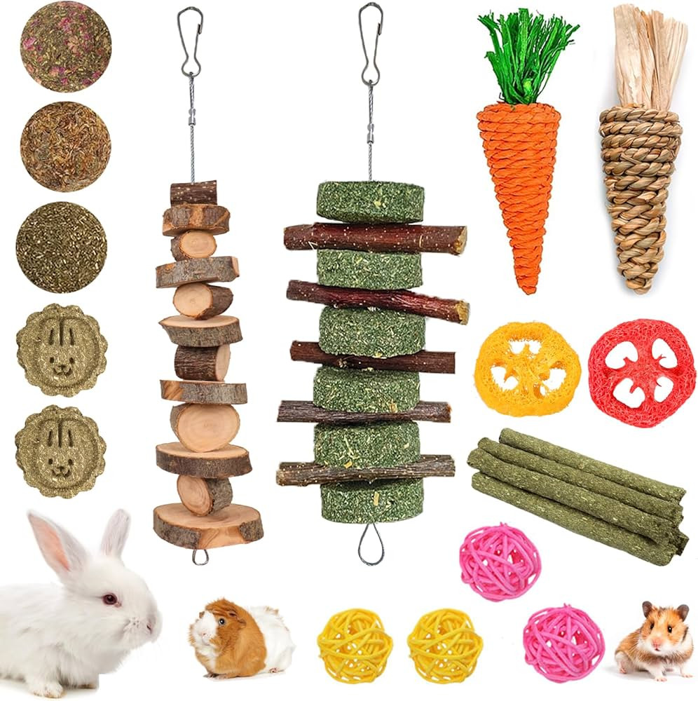 Grddaef 20 PCS Bunny Chew Toys for Teeth, Natural Rabbit Toys Apple Wood Grass Timothy Sticks Che... | Amazon (US)