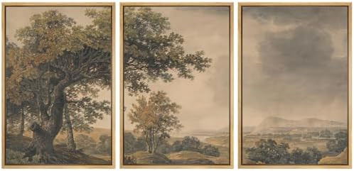 MUDECOR Framed Wall Art Print Set Vintage Landscape Rustic Tree and Mountain View Illustrations D... | Amazon (US)