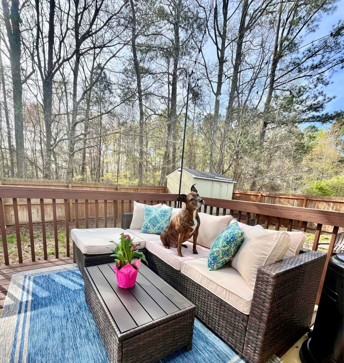 Outdoor furniture usually has great deals this time of year, and Walmart is my go-to for outdoor sectionals 🙌🏻

Peep the sales they’re running right now 👀

#LTKSeasonal #LTKSaleAlert #LTKdayinmylife