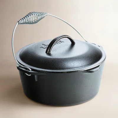 Cast Iron Dutch Oven | Birch Lane