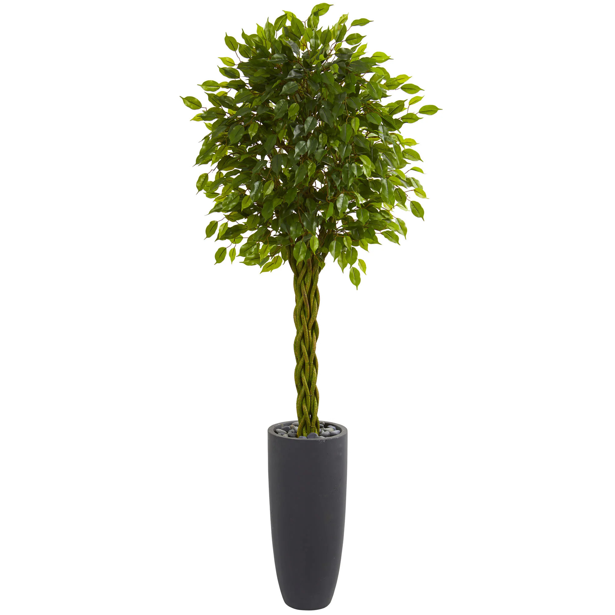 6.5-ft Braided Ficus Artificial Tree