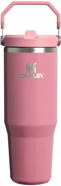Stanley 30 oz. IceFlow 2.0 Flip Straw Tumbler | DICK'S Sporting Goods