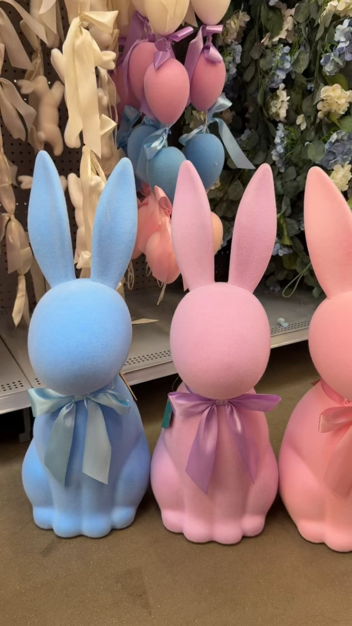 Walmart Easter favorites!

#LTKHome #LTKSeasonal