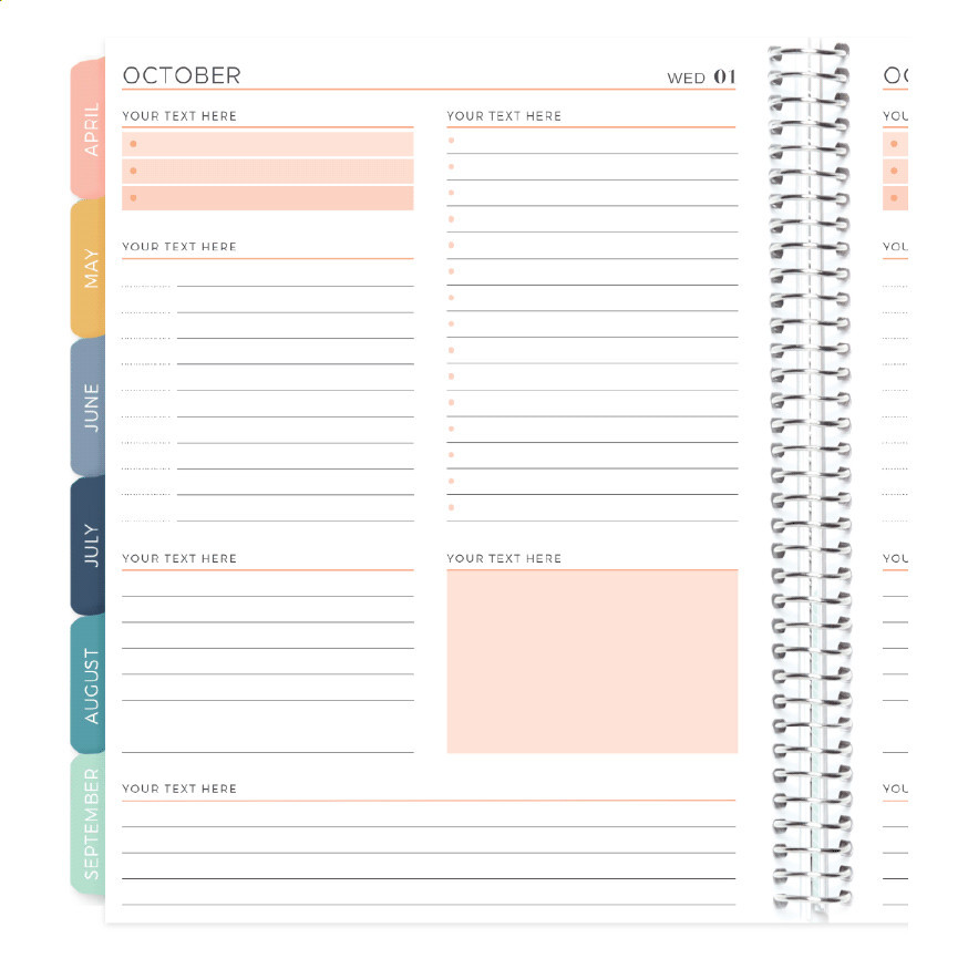 12 Month Daily | Plum Paper