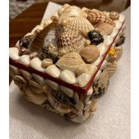 Shell Trinket/Jewelry Box(Hobo Box With Red Felt Lining & Felted Bottom | Etsy (US)