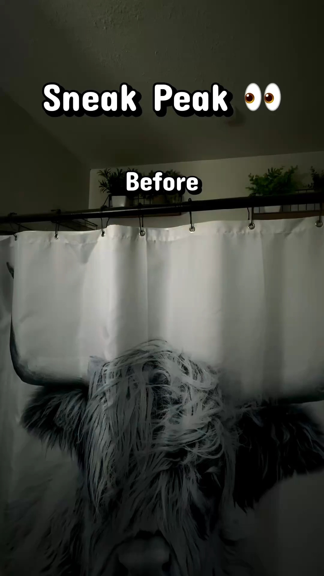 Sneak peek at the bathroom transformation in progress 👀✨ 

Highland cow approved. 🐄 

More to come…..stay tuned!



#LTKHome