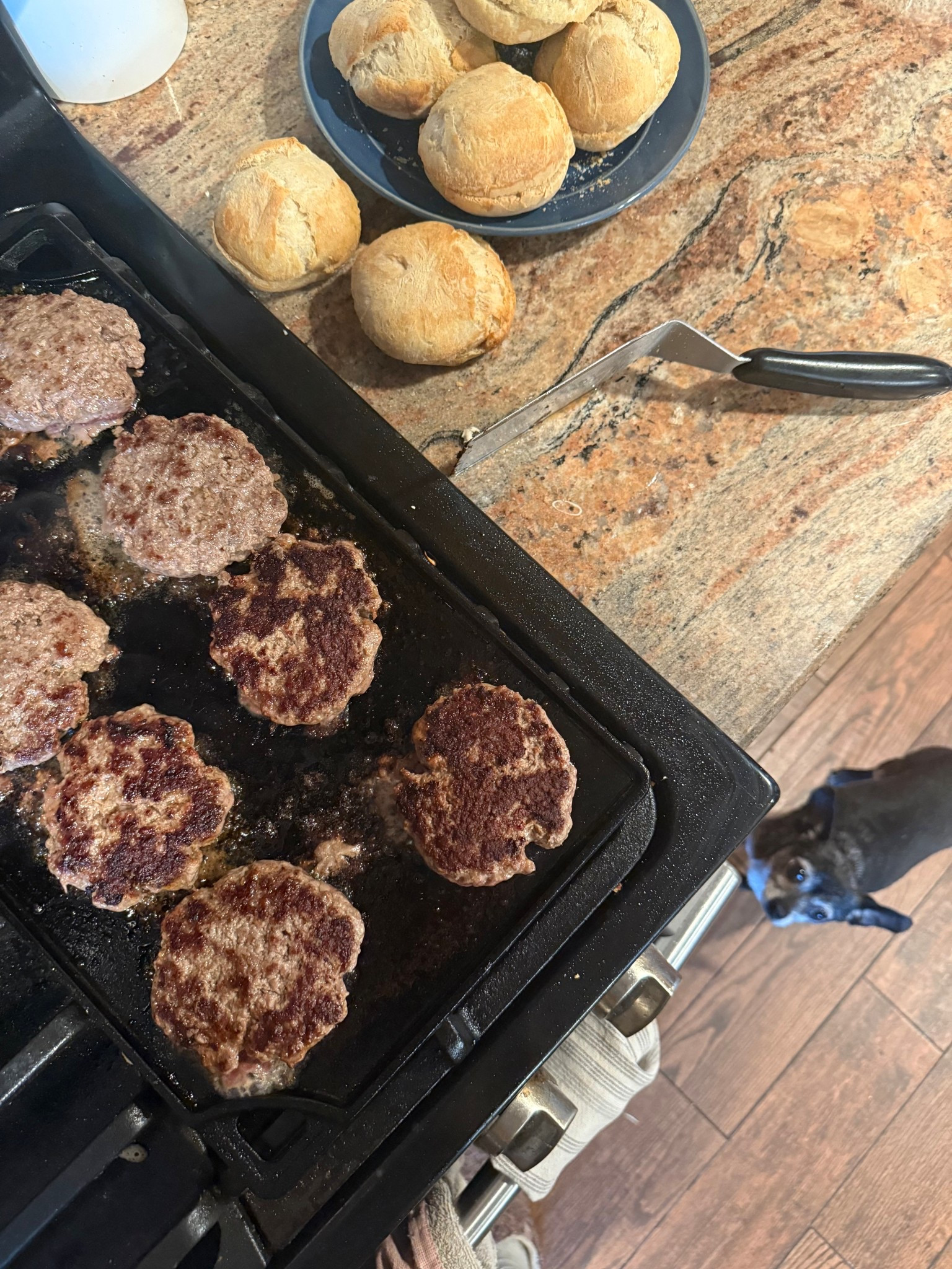 Cast Iron Griddle 🍳