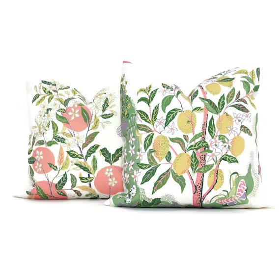 OUTDOOR Citrus Garden Decorative Pillow Cover 18 | Etsy | Etsy (US)