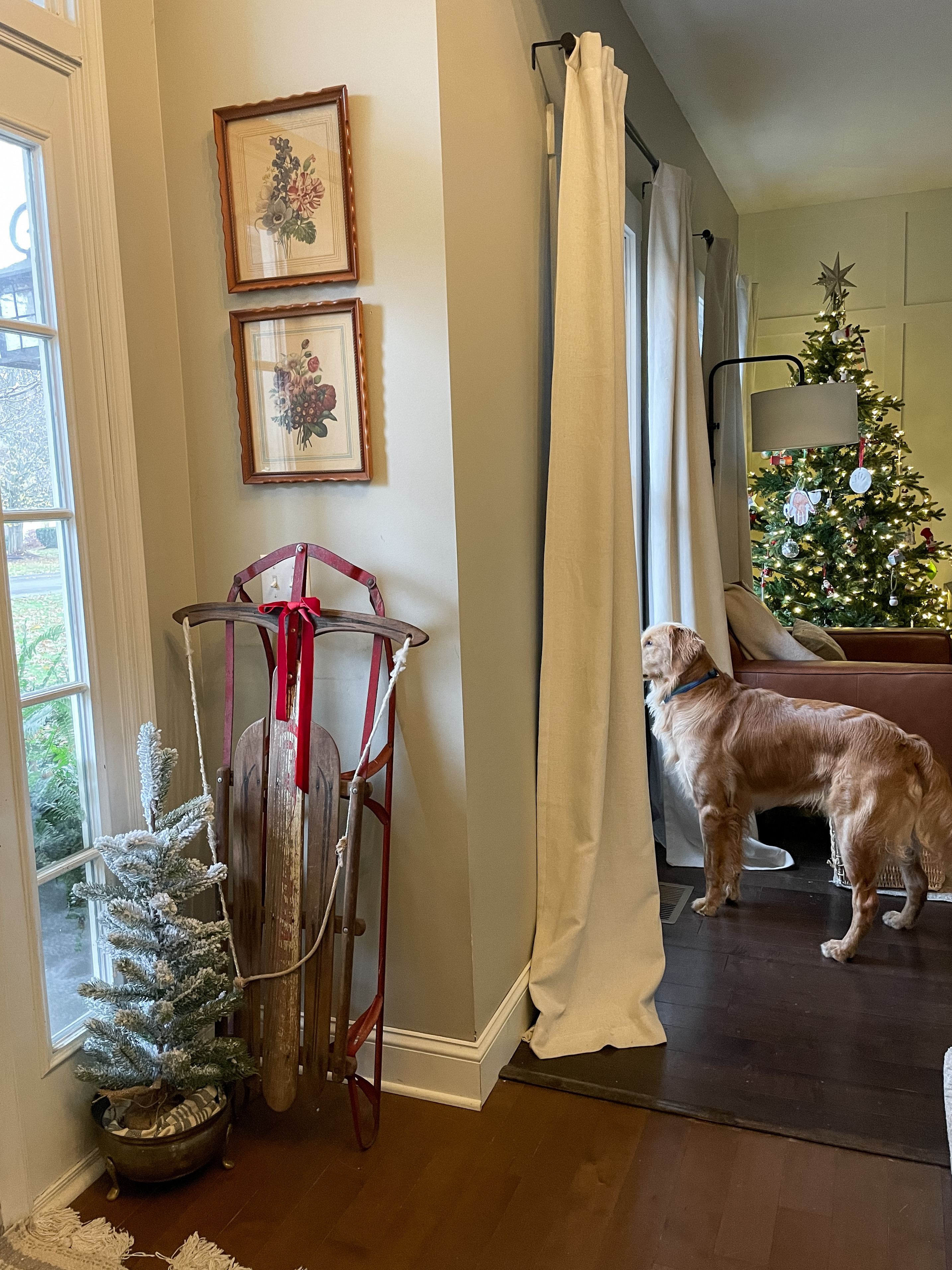Charming Christmas doorway with a thrifted vintage sled.  

Mini Christmas tree.  Christmas tree.  

#LTKHoliday #LTKHome #LTKSeasonal