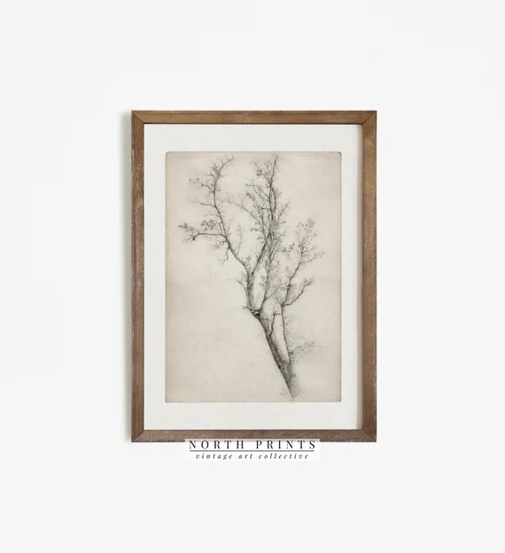 Tree Sketch  Vintage Etching Print  Minimalist PRINTABLE | Etsy | Etsy (US)