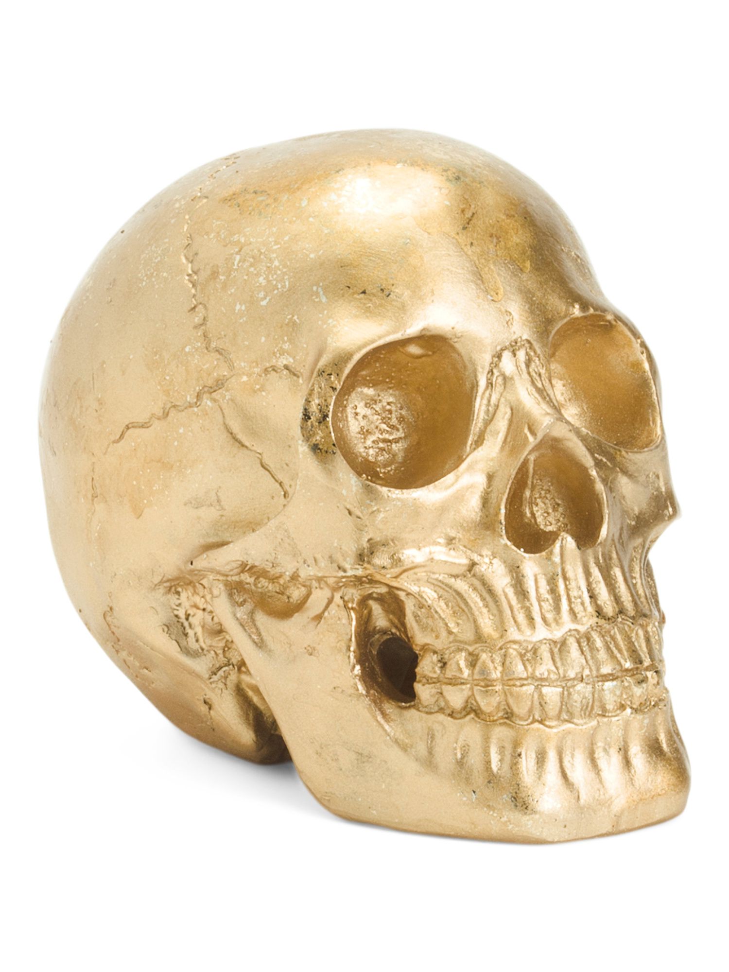 6in Gold Skull Head | TJ Maxx