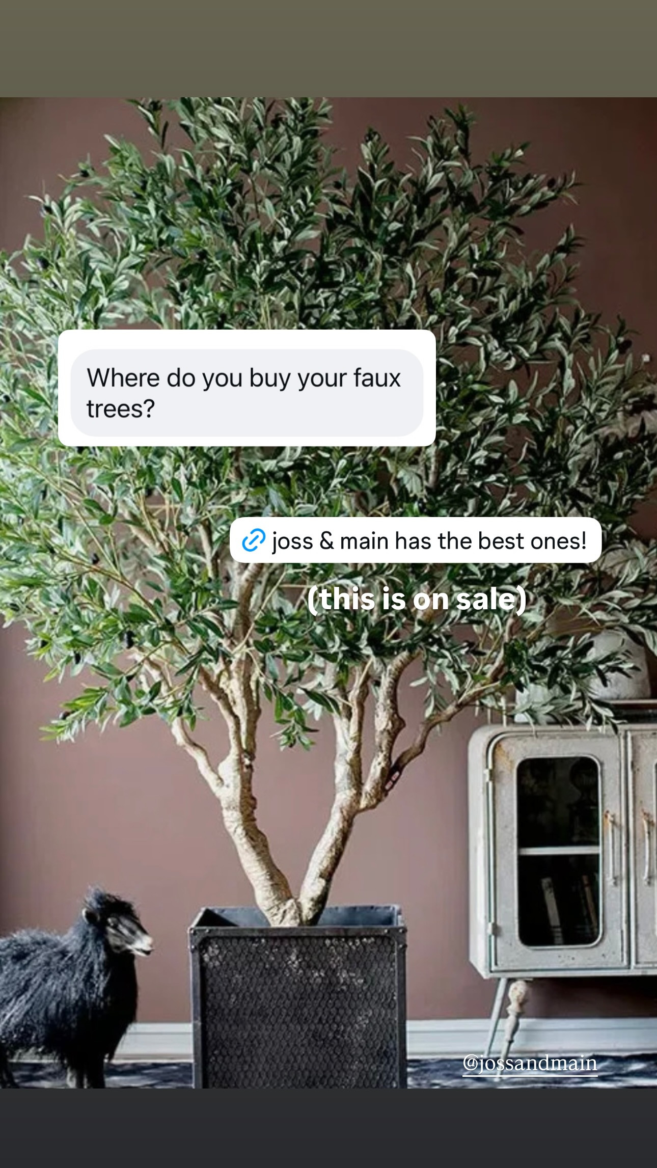 Joss & Main has the best faux trees (this is on sale)

#LTKSaleAlert #LTKHome