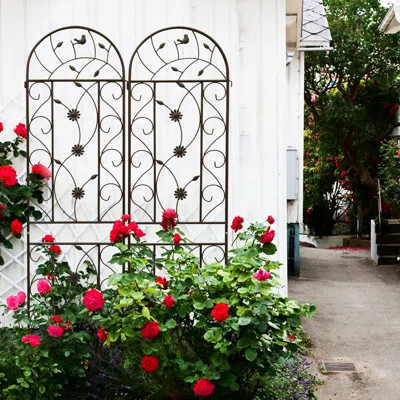 Metal Garden Trellis 86.7", Rustproof For Outdoor Climbing Plants, Flower Backing, Brown, Simple To Install, Build Pair Rust- Support, Easy Setup, Rob | Wayfair North America