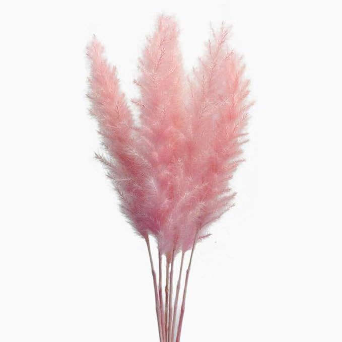 60 Stems Natural Dry Flowers Small Pampas Grass, Phragmites Communis, Dried Flowers Bouquet for W... | Amazon (US)