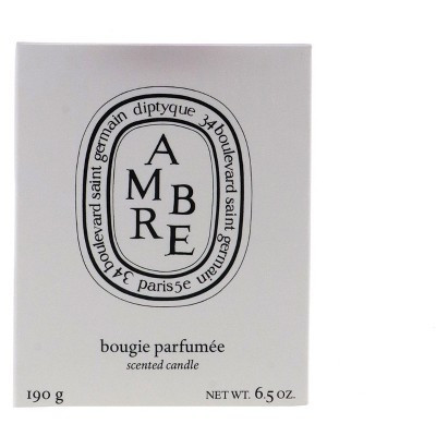 Diptyque Scented Candle, Ambre, 6.5 oz | Target