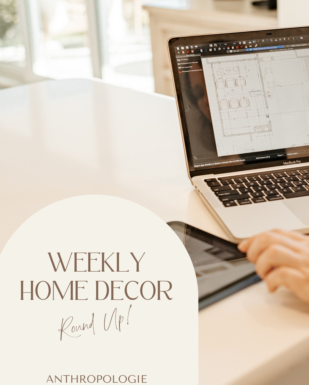 Weekly round up - Anthro edition 