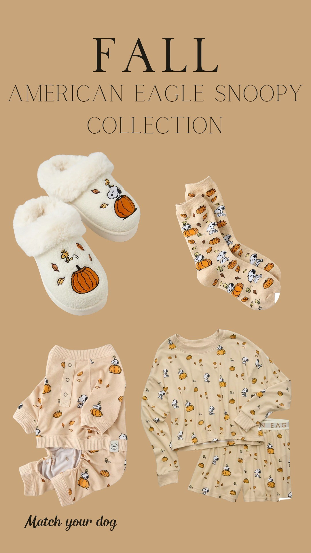 American Eagle Fall Snoopy collection #fall #cozyoutfit #cozyseason #fallpjs 

