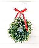 Mini Window Wreath, MINI Frosted Eucalyptus Wreath,Farmhouse Wreath,Country Cottage Wreath, Farmhous | Amazon (US)