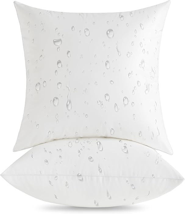 Oubonun 20x20 Outdoor Pillow Inserts (Pack of 2) - Square Waterproof Throw Pillow - Decorative Th... | Amazon (US)