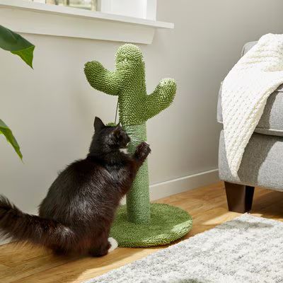 Frisco Cactus Cat Scratching Post | Chewy.com