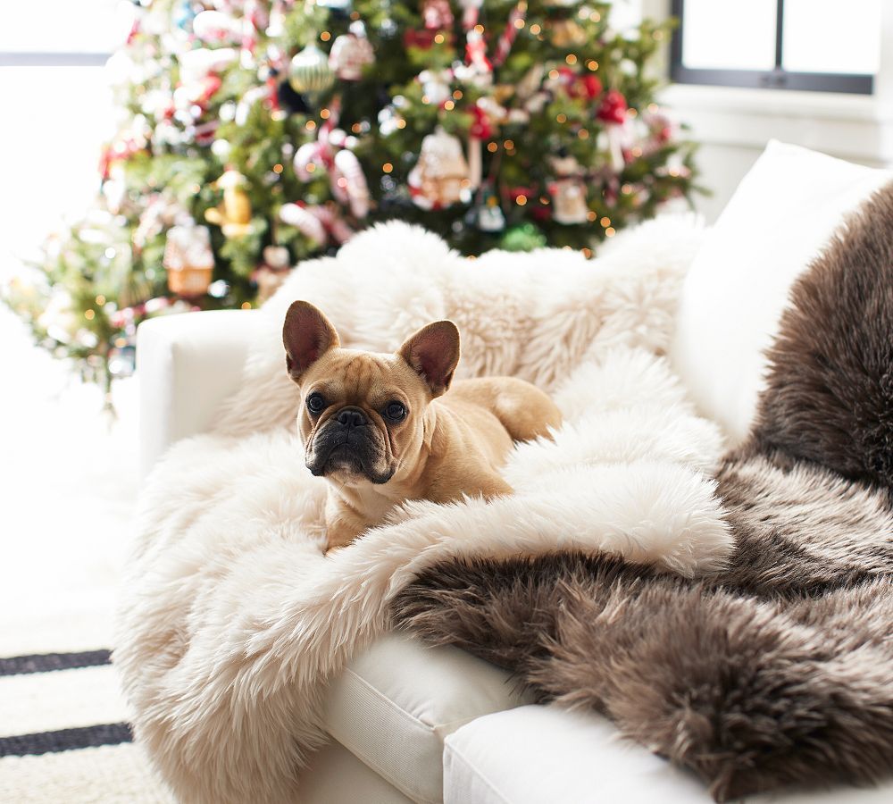 Luxe Faux Fur Pet Throw Blanket | Pottery Barn (US)