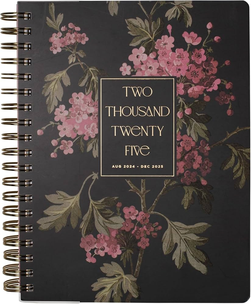 Fringe Studio 2025 Spiral Weekly Planner, Aug 2024 - Dec 2025, 17 Month, Paper Cover, "Charcoal H... | Amazon (US)