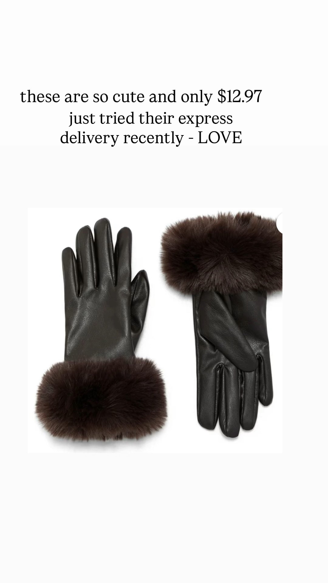 These faux f ur gloves are too cute 

#LTKHoliday #LTKFindsUnder50 #LTKGiftGuide