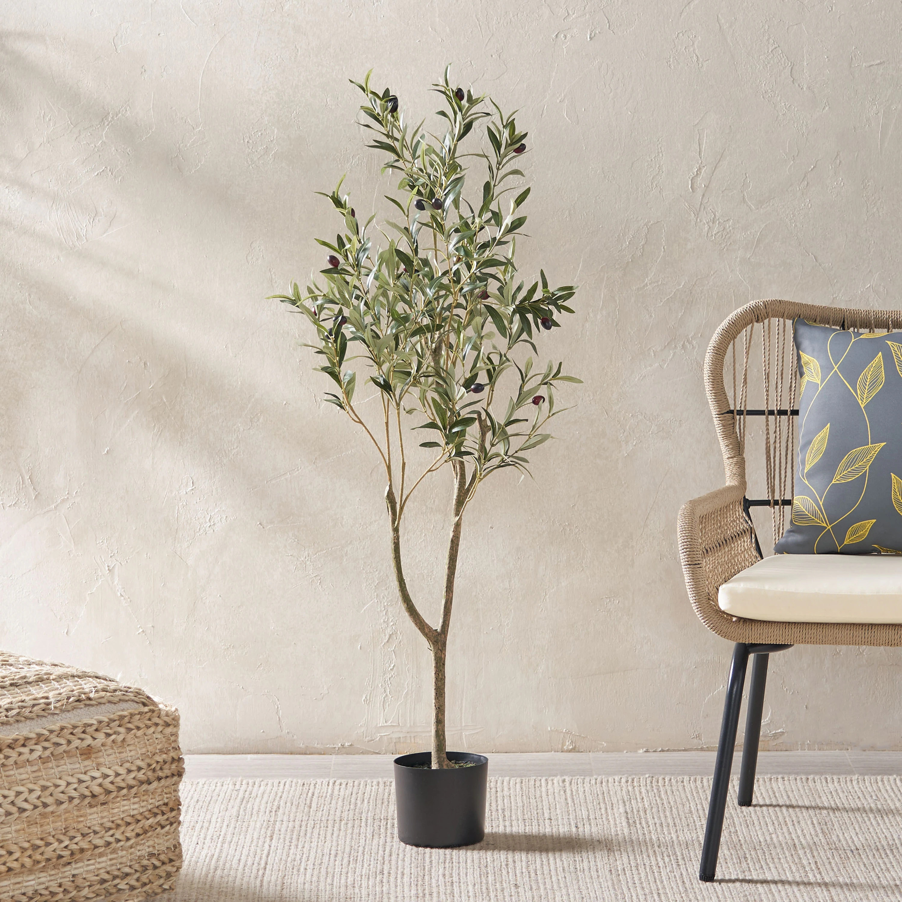 Olive Tree with Slender Branches, Live Indoor Plant with Silver Green Leaves, Artificial Olive Tree with Dried Moss | Bed Bath & Beyond