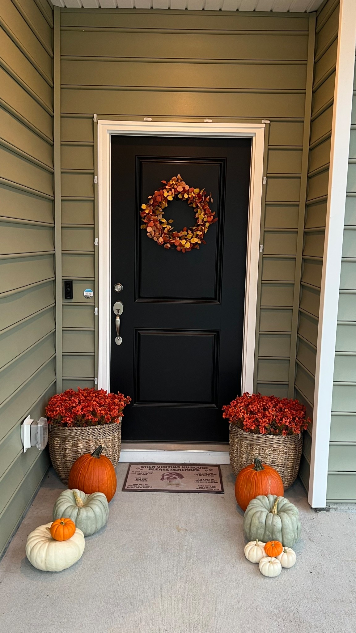 Fall Decoration 🍂 

#LTKSeasonal #LTKStyleTip #LTKHome