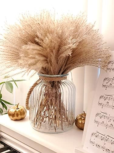 100 pcs Fluffy Pampas Grass Reeds Dried Flower, 17" Tall Not Sparse Natural Plant for Boho Weddin... | Amazon (US)