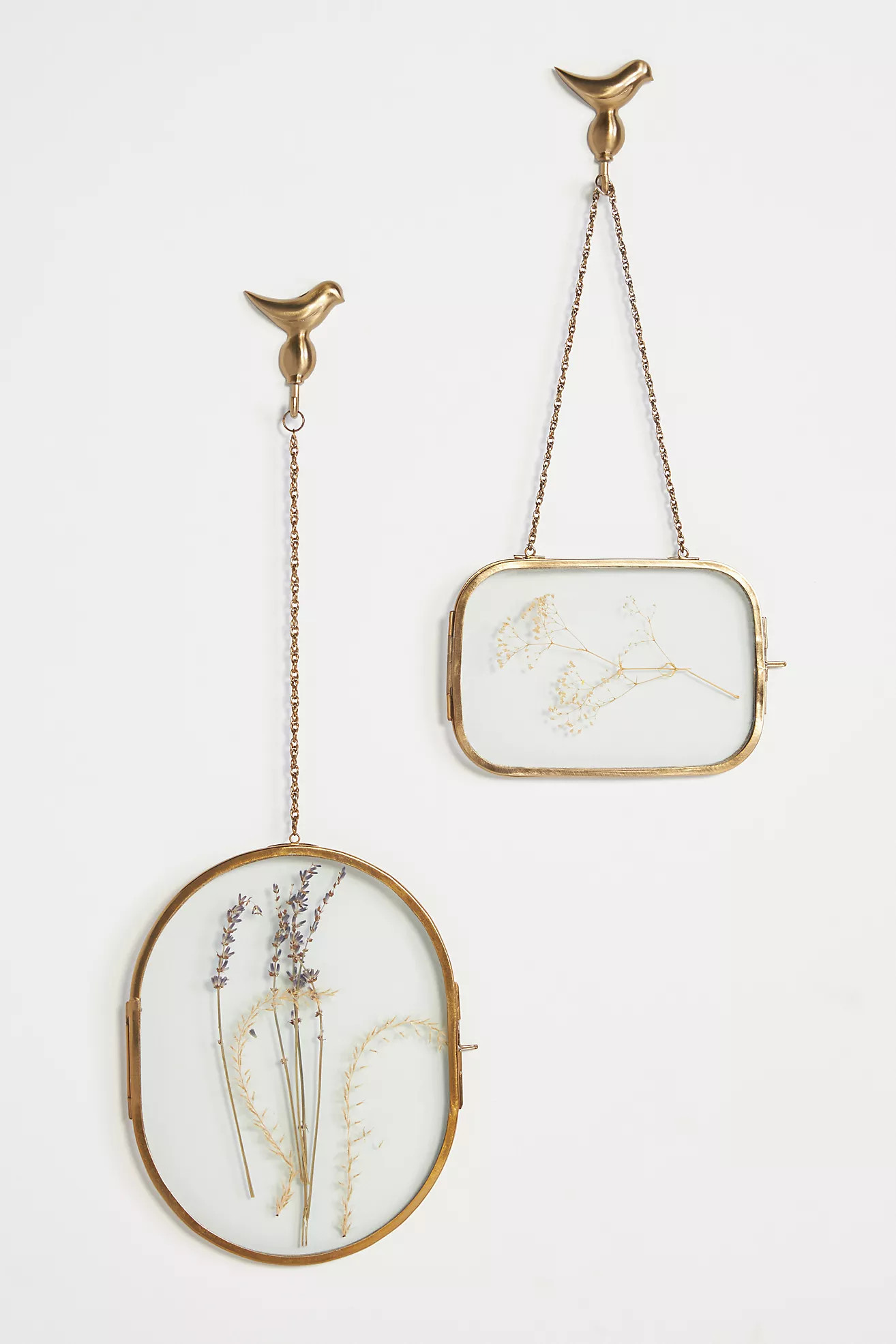 Sasha Frame | Anthropologie (US)