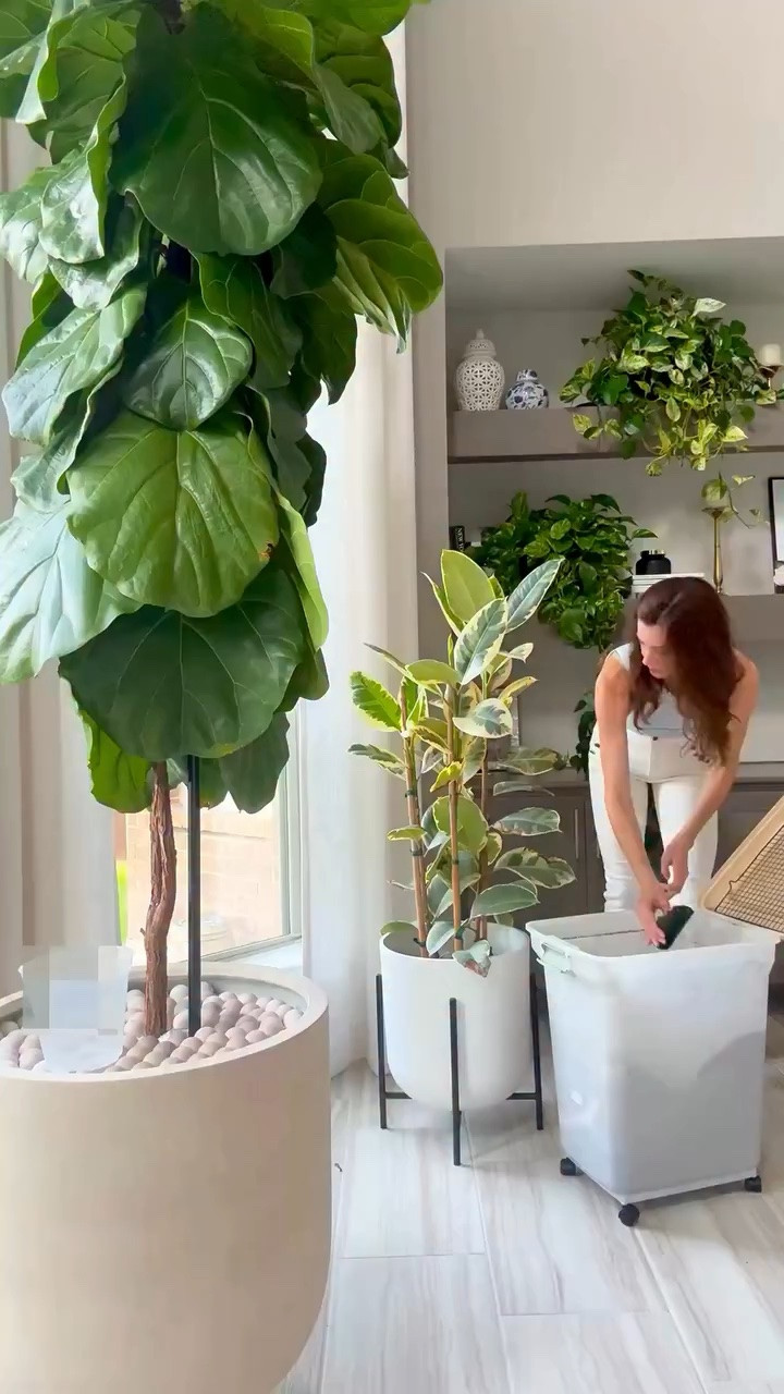 The plant mess stays right here, not all over my house 🌿
Say hello to my mobile potting and repotting station.

It’s on wheels, so I can roll it wherever my plants need me. I added a cooling rack on top, make sure it’s at least 16 inches long, and it creates the perfect mess free surface for repotting smaller plants.

I keep two scoopers on hand for different size scoops, and of course my go to soil mix. It’s equal parts FoxFarm Organic Soil, perlite, and orchid bark for a chunky, well draining blend that plants love.

Comment STATION below and I’ll send you all the links 🌱

#plantcare #indoorplants #repottingplants #planttools #houseplantcare

mobile potting station | repotting station on wheels | mess free repotting | houseplant repotting setup | plant care essentials | indoor plant tools | chunky soil mix | fox farm soil mix | repotting small plants | plant organization ideas