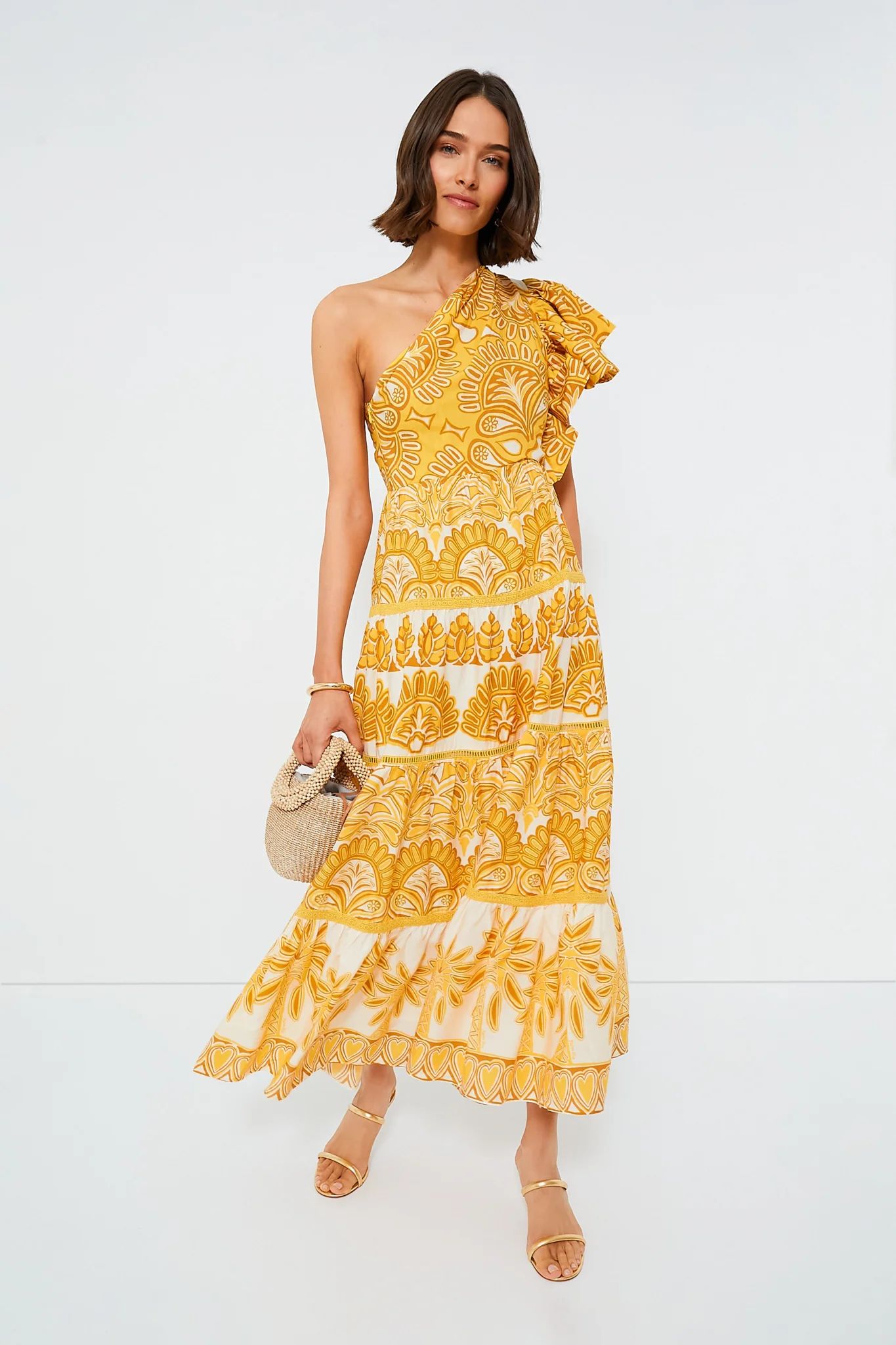 Yellow Tapestry Ainika Sleeveless Maxi Dress | Tuckernuck (US)