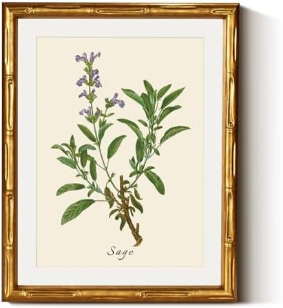 InSimSea Gold Bamboo Framed Canvas Wall Art, Vintage Watercolor Sage Herbs Prints, Antique Pictur... | Amazon (US)