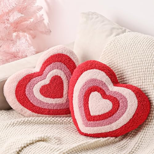 Bunny Chorus Valentines Day Decor: 2pcs Ultra Soft Heart Swirl Throw Pillows, Teddy Fleece Stuffed Plush Cushions Valentines Pillows, Valentines Decor Home Decor for Bedroom, Living Room, Sofa, Couch | Amazon (US)
