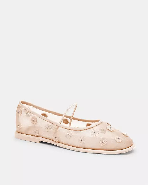 Women | Coach (US)