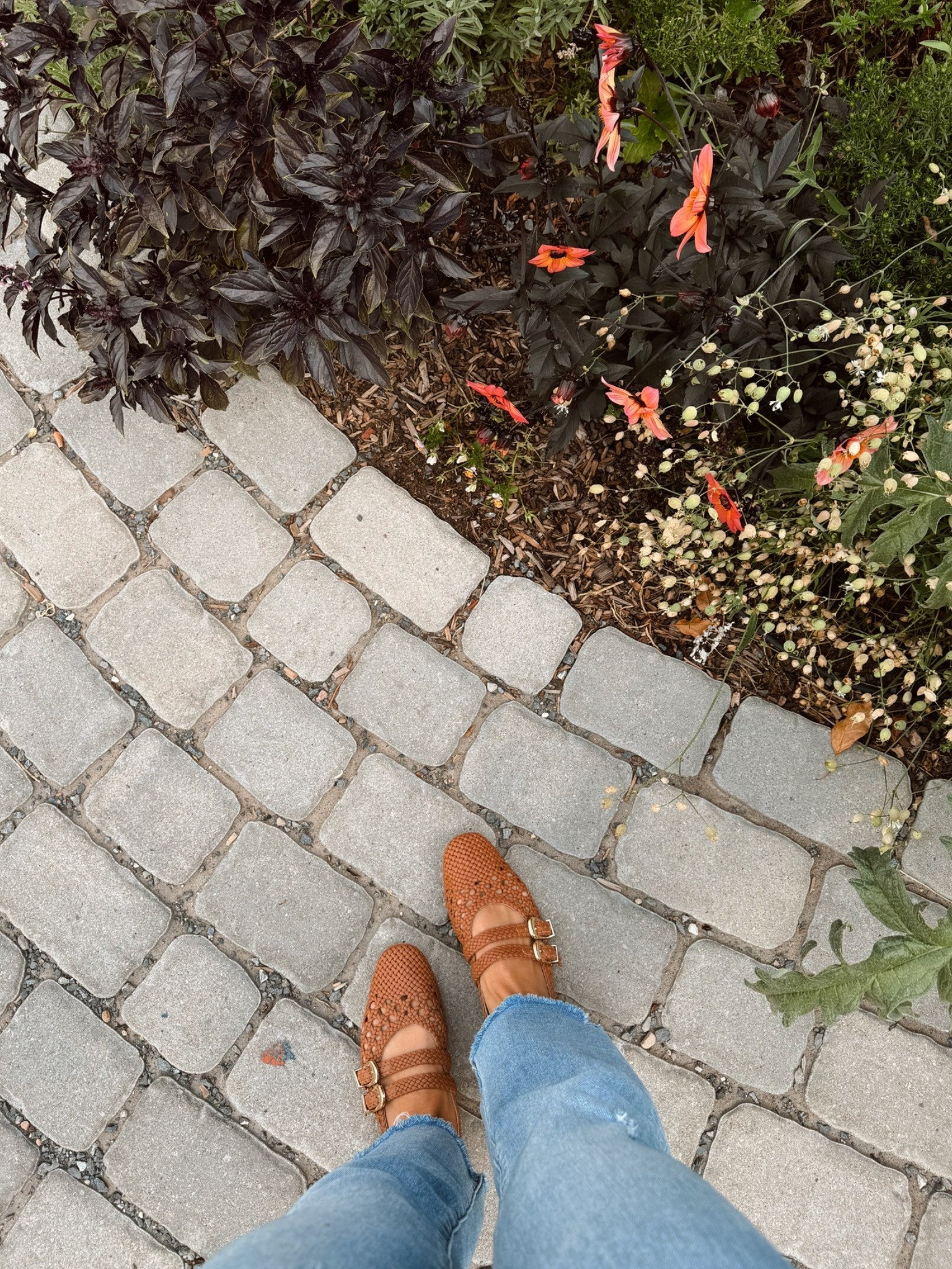 Comfiest walking shoes!

#LTKootd