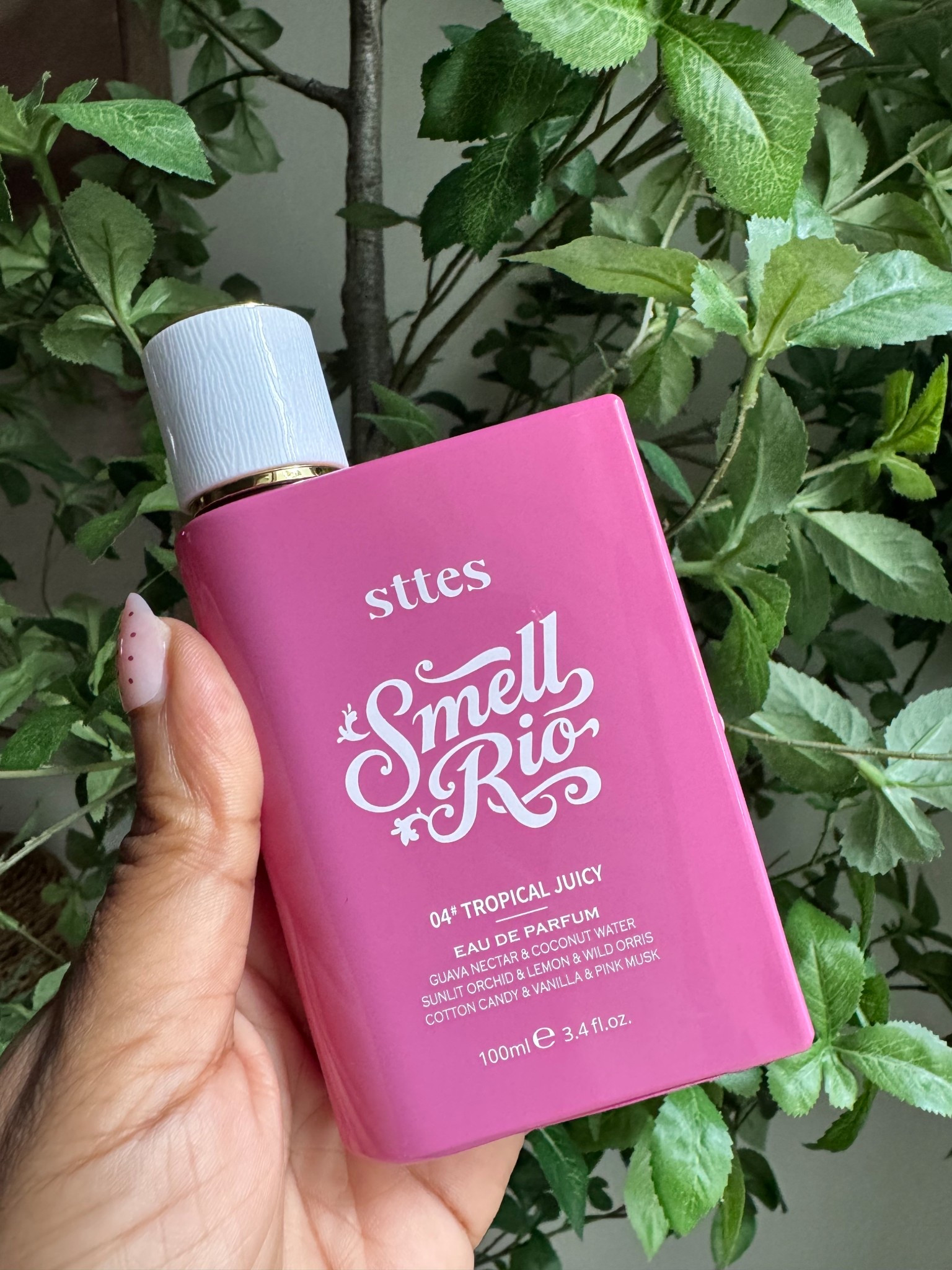 Tropical and sweet 🐚🍬 the perfect summer scent!! And it’s super affordable ✨

#LTKBeauty