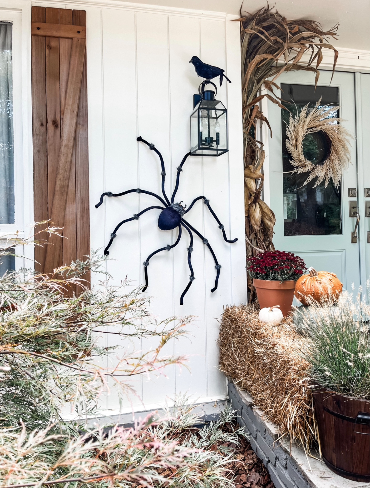 Add a little spook to your holiday decor! 🕷️🐦‍⬛

#spider #oversizedspider #halloweendecor #crow #fallwreath