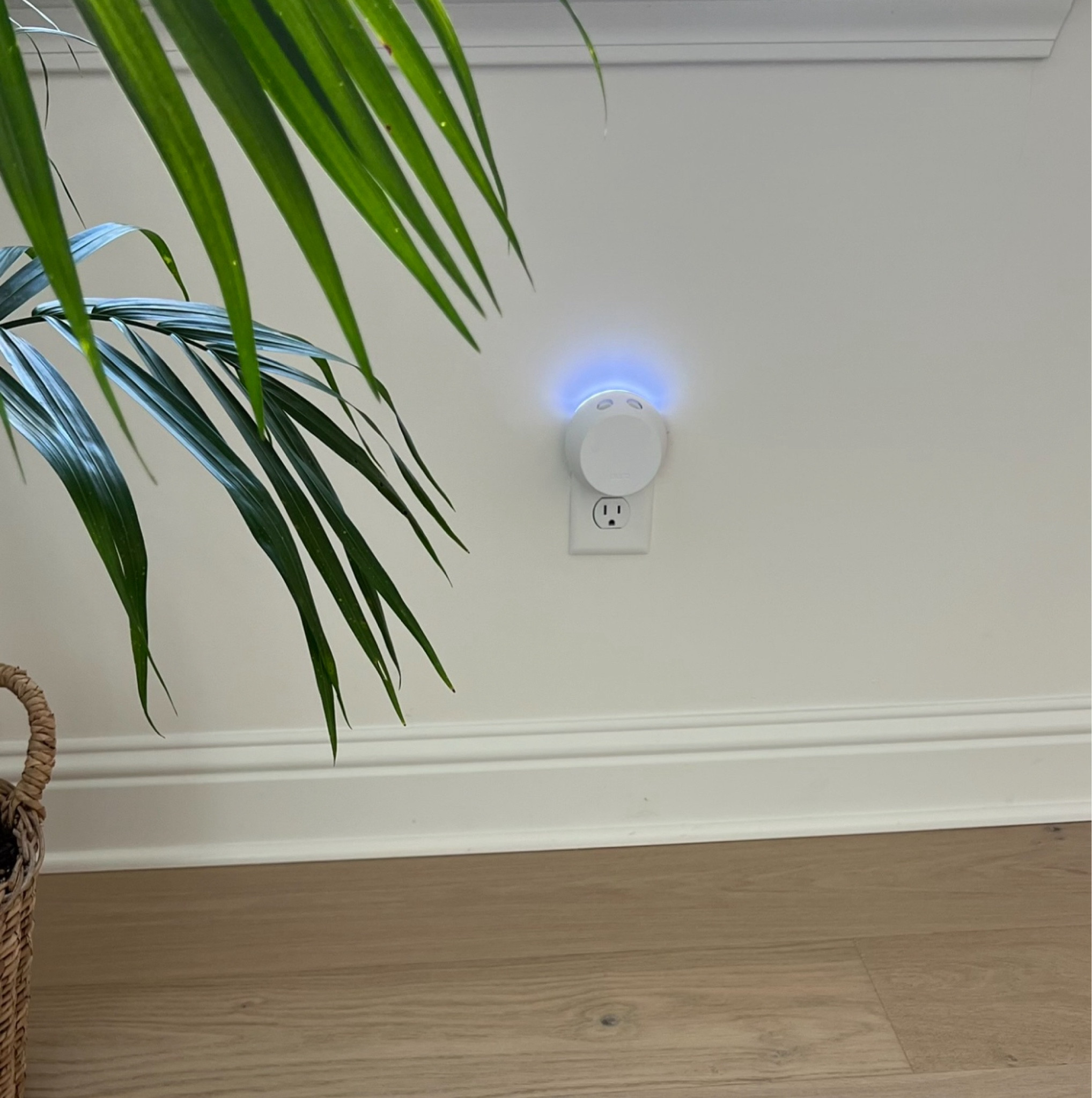 Pura sale! Our favorite scent is Linens & Surf 😍🌊🥥🐚

#LTKHome