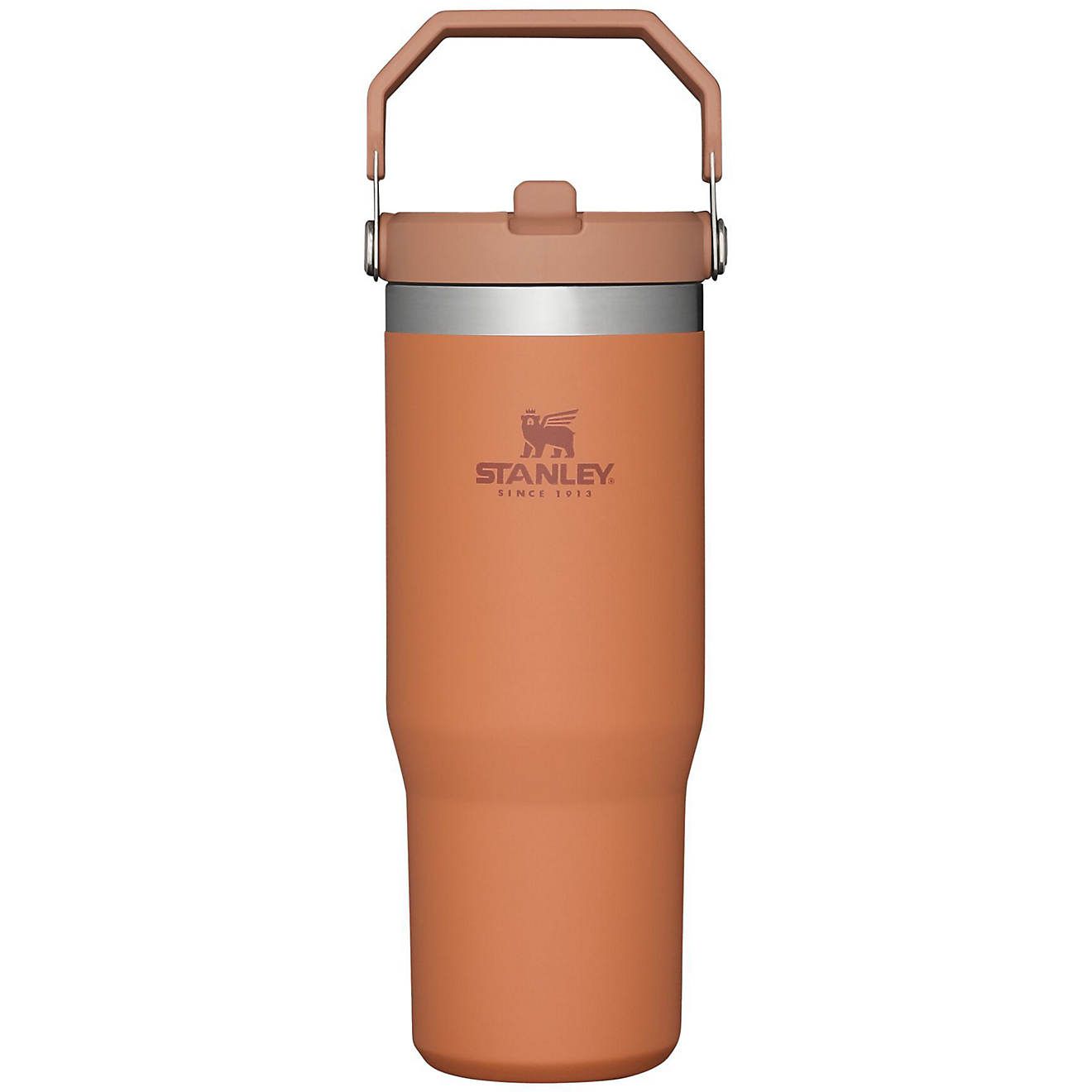 Stanley The IceFlow 30 oz Classic Flip Straw Tumbler | Academy Sports + Outdoors