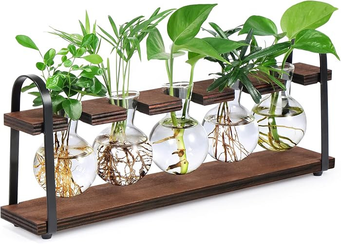 THYGIFTREE Plant Propagation Stations with Wooden Stand, Desktop Retro Plant Terrarium Bulb Vase ... | Amazon (US)