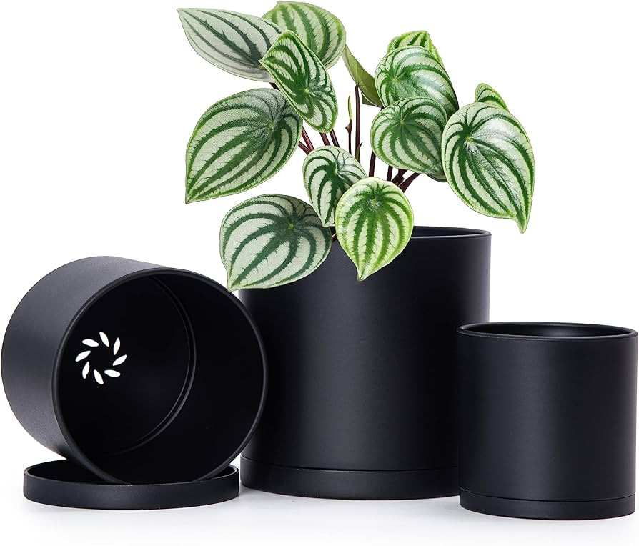 D'vine Dev 4 Inch 5 Inch 6 Inch, Set of 3 Plastic Planter Pots for Plants with Drainage Hole and ... | Amazon (US)