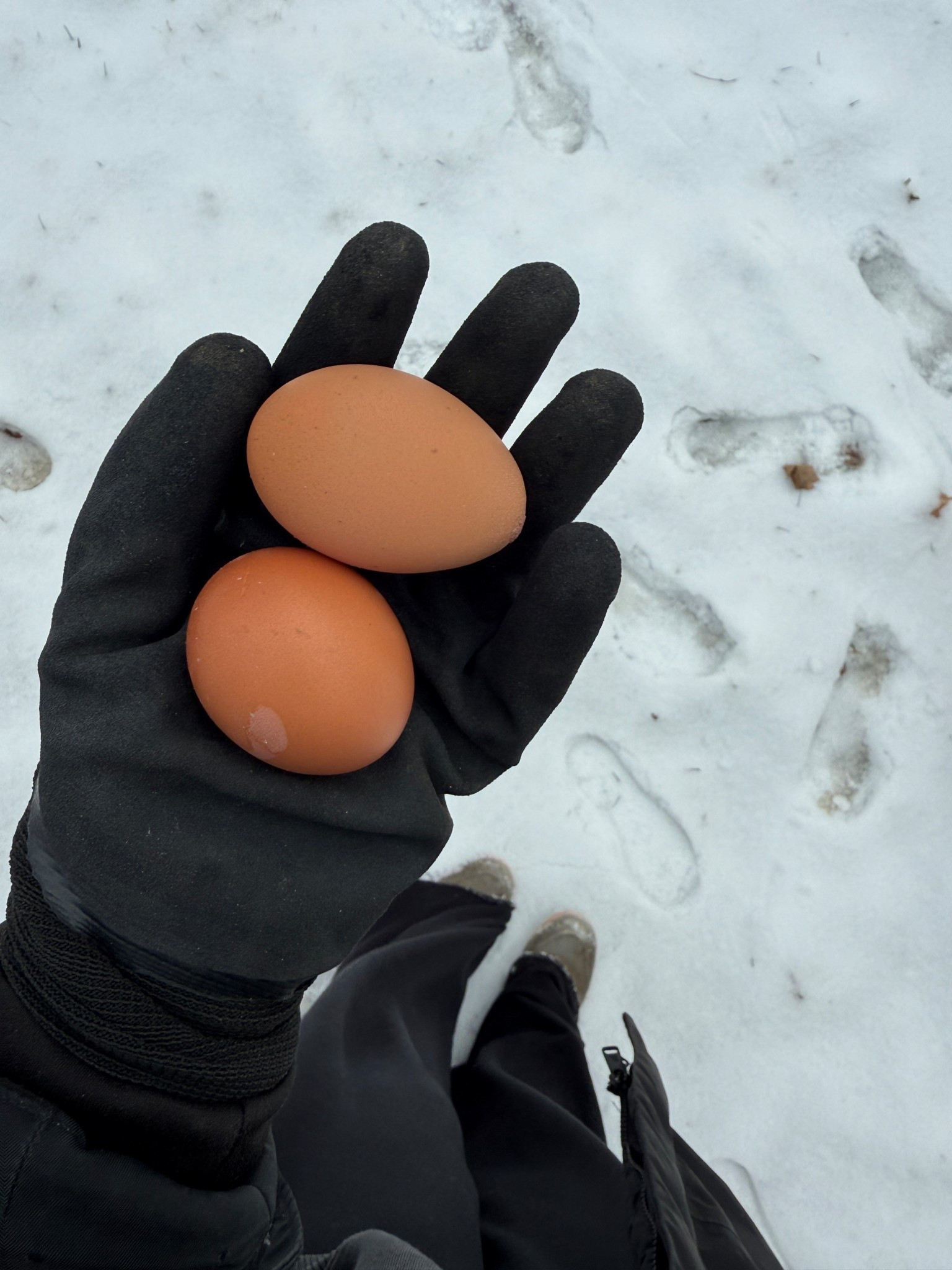 Insulated waterproof gloves 🧤 