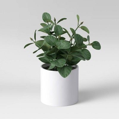 8" x 7.5" Artificial Eucalyptus Plant Arrangement in Pot - Threshold™ | Target