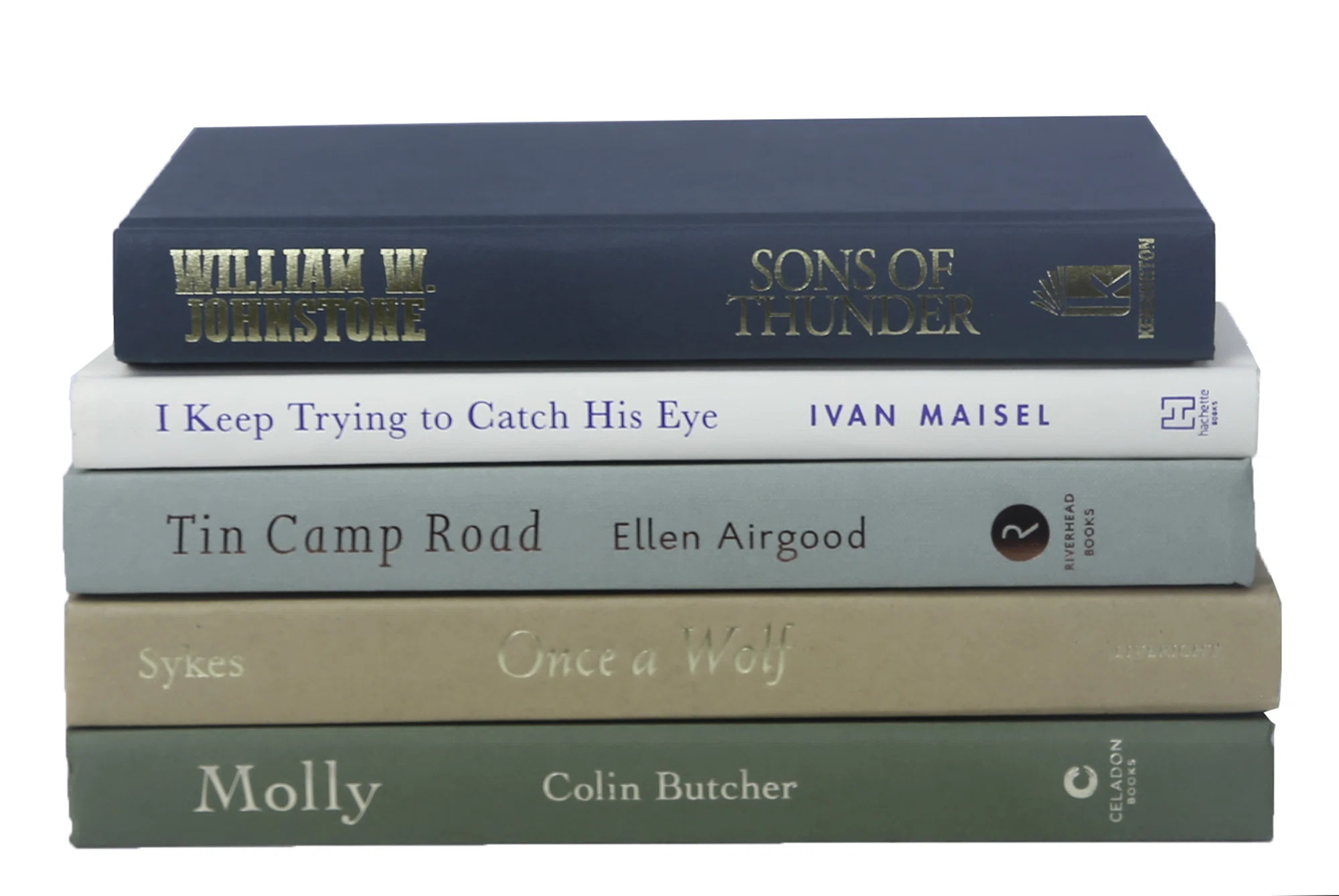 Modern Savannah Book Stack, S/5 | Perigold