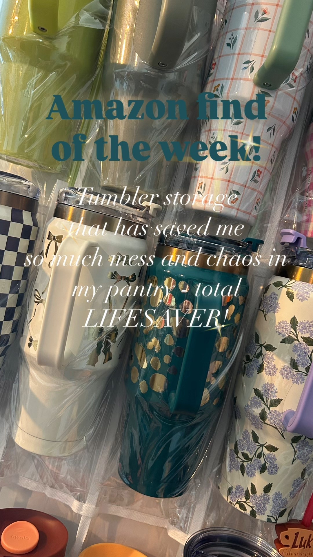 💙 Amazon find of the week 🙌🏼 This tumbler door organizer has been a GAME changer for my pantry 🙃 Normally, my tumblers are thrown throughout the bottom of my pantry, but now I can see them all, so I can make sure I use them all and not just rotate between the same three 🤣 Has made my life a little less frustrating while looking for what I need in my pantry - My exact one is sold out but this one is just as similar!! 🫶🏼 #amazon #amazonfinds #organize #Walmart #walmartfind #owala #thymeandtablekitchen #stanley 

#LTKFamily #LTKHome #LTKSummerEdit