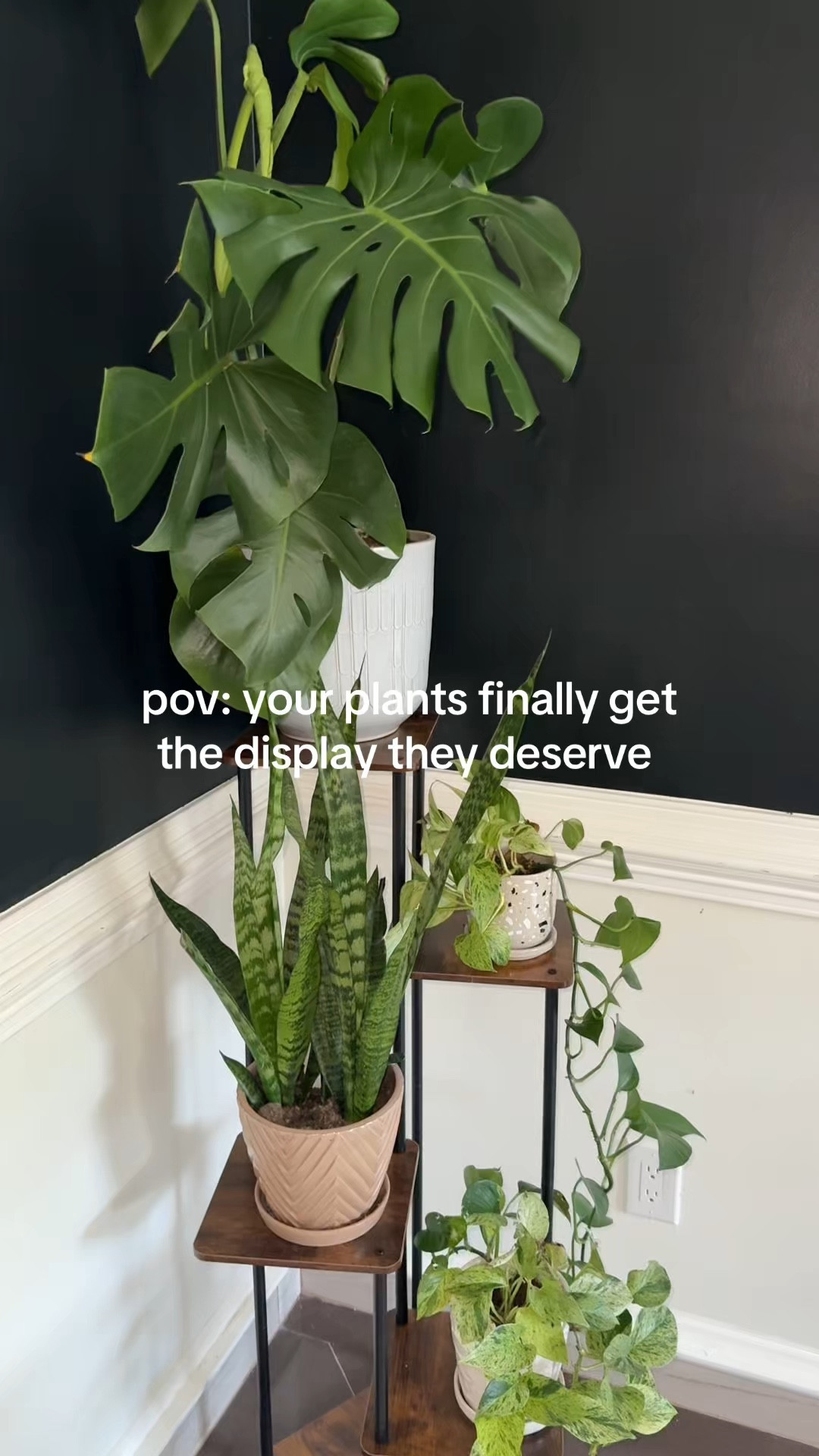 I swear it’s always the small things that make your house finally feel like a home 🥹
this little plant corner went from random + ignored to my favorite cozy spot 🌿
being a SAHM means I’m in my house all day… so these tiny upgrades just hit different 

#LTKMothersDay #LTKHome #LTKmomlife