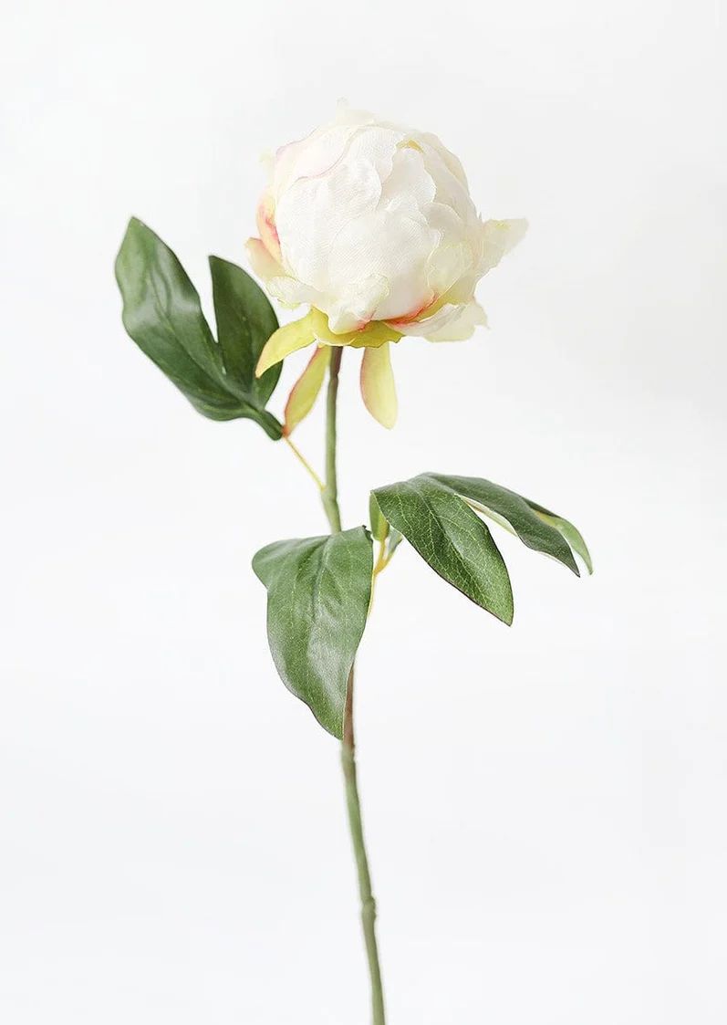 Artificial Flower Peony Bud in Cream - 18" Tall | Afloral (US)