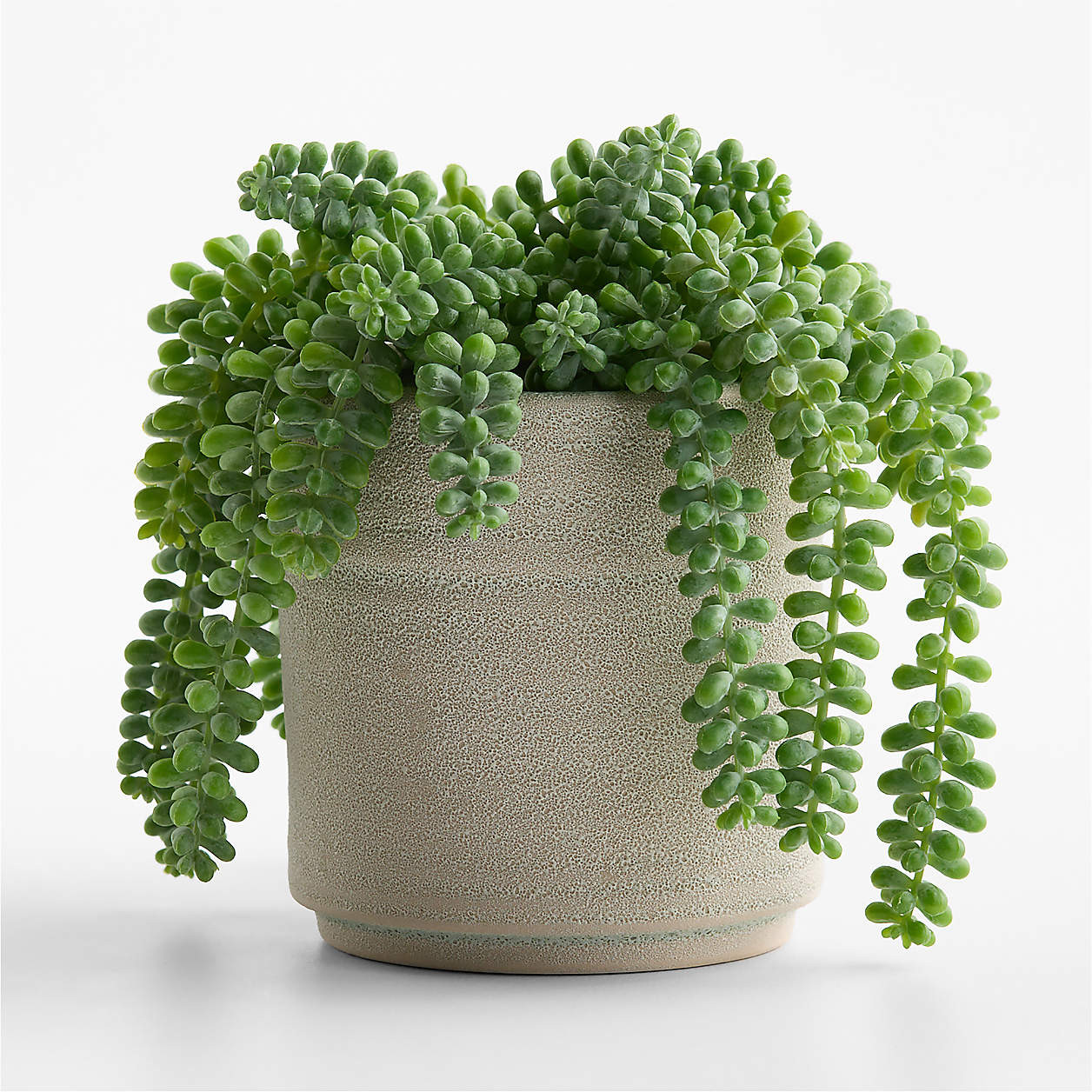 Potted Faux Burros Tail Succulent 7" | Crate & Barrel | Crate & Barrel